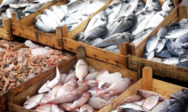 Обои рыба, дерева, ящики, разнообразие, свежая, коробочки, fresh fish, variety, fish, wood, boxes, diversity, fresh разрешение 2879x1725 Загрузить