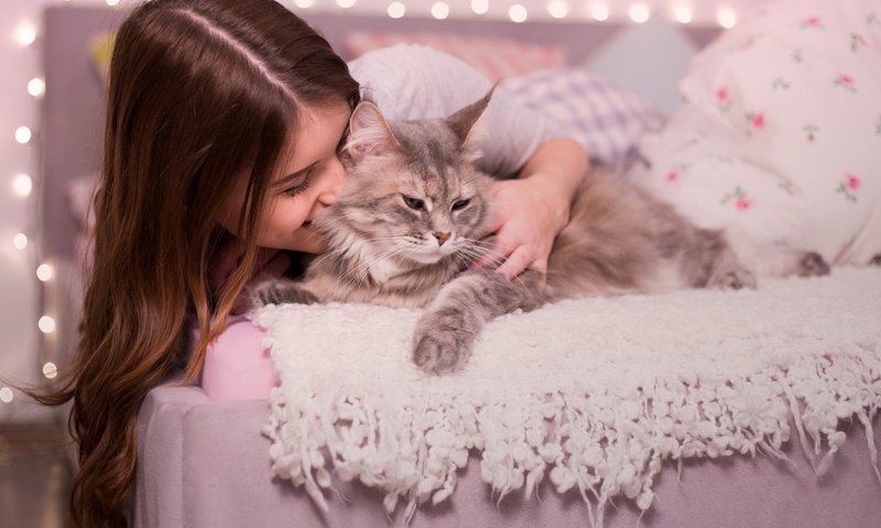 Обои девушка, фон, кошка, girl, background, cat разрешение 2048x1365 Загрузить