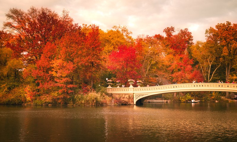 Обои деревья, центральный парк, листья, bow bridge, люди, осень, лодка, зеркало, нью-йорк, соединённые штаты, trees, central park, leaves, people, autumn, boat, mirror, new york, united states разрешение 2248x1499 Загрузить