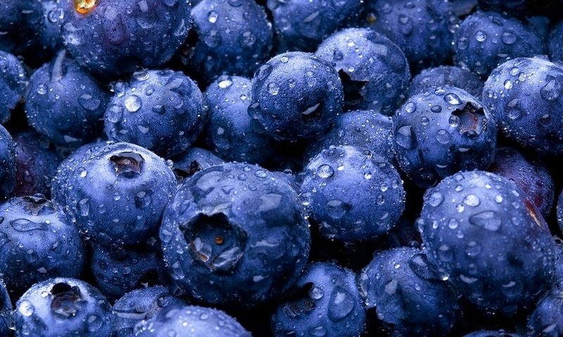 Обои макро, капли, ягоды, черника, macro, drops, berries, blueberries разрешение 2500x1406 Загрузить