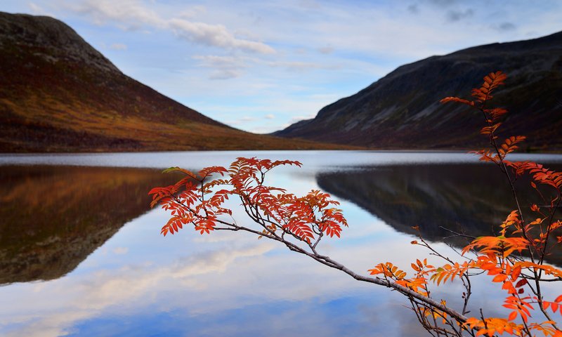 Обои небо, озеро, горы, ветка, осень, the sky, lake, mountains, branch, autumn разрешение 2048x1367 Загрузить