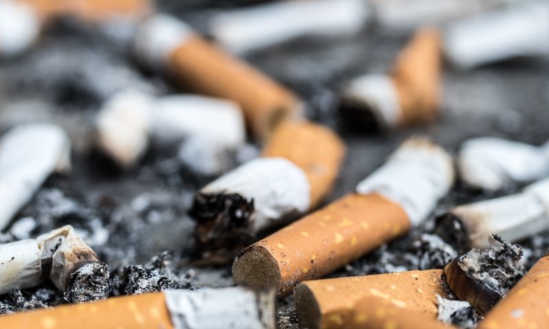 Обои макро, сигареты, окурки, macro, cigarette, butts разрешение 2880x1800 Загрузить