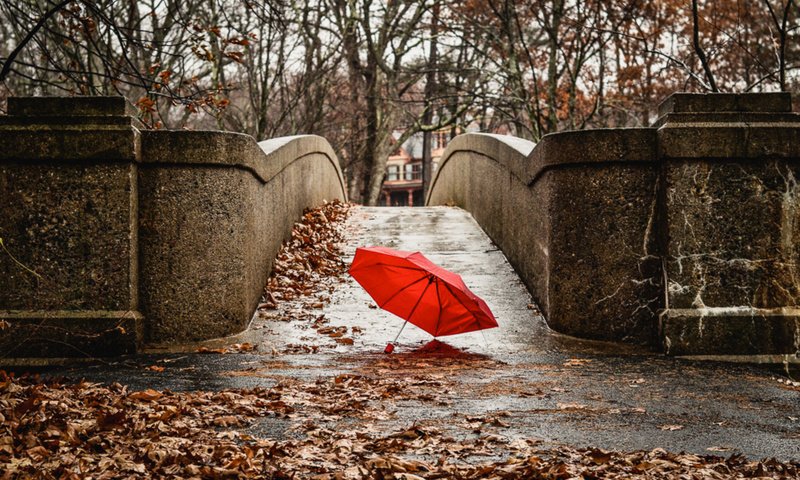 Обои мост, город, осень, красный, зонтик, bridge, the city, autumn, red, umbrella разрешение 2048x1305 Загрузить