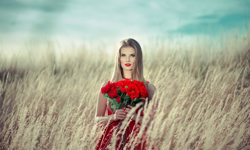 Обои девушка, поле, розы, красные, букет, макияж, girl, field, roses, red, bouquet, makeup разрешение 2500x1673 Загрузить