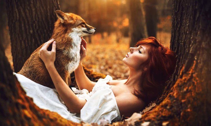 Обои лес, животные, осень, девушки, лиса, рыжеволосая, forest, animals, autumn, girls, fox, redhead разрешение 1920x1200 Загрузить