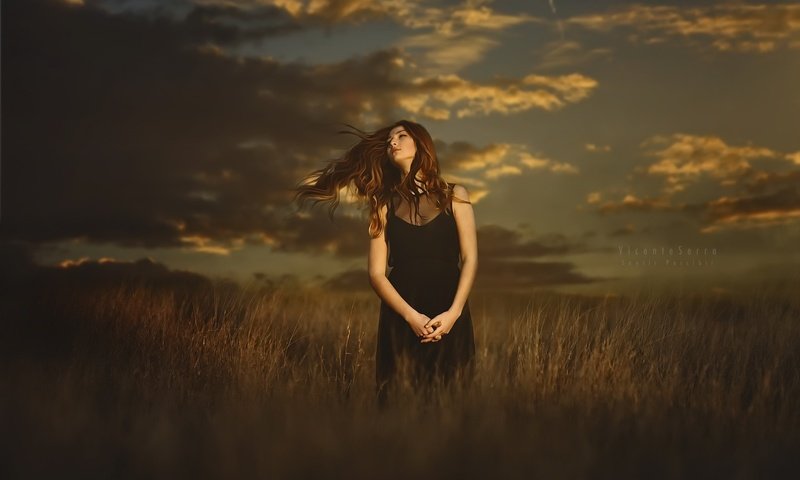 Обои закат, девушка, поле, волосы, sunset, girl, field, hair разрешение 2048x1256 Загрузить