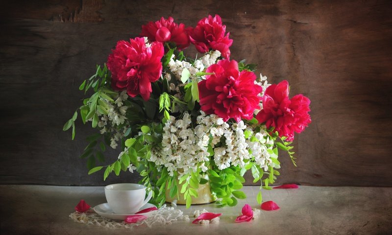 Обои цветы, букет, чашка, натюрморт, пионы, акация, flowers, bouquet, cup, still life, peonies, acacia разрешение 2400x1594 Загрузить