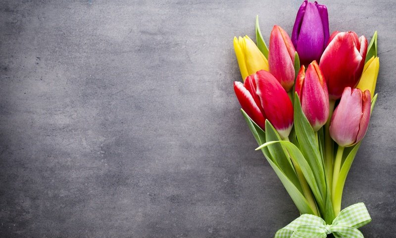 Обои цветы, букет, тюльпаны, тульпаны,  цветы, весенние, пинк, красочная, flowers, bouquet, tulips, spring, pink, colorful разрешение 5472x3648 Загрузить