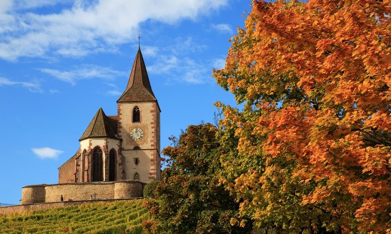 Обои деревья, осень, церковь, франция, hunawihr, church saint-jacques-le-majeur, церковь сен-жак-ле-мажёр, юнавир, trees, autumn, church, france, church of saint-jacques-le-mazher, the hunawihr разрешение 2500x1581 Загрузить