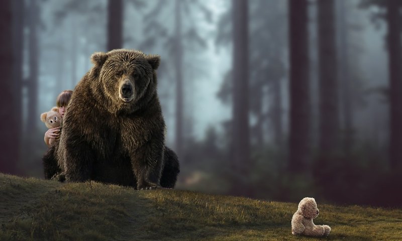 Обои лес, ситуация, медведь, мишки, девочка, forest, the situation, bear, bears, girl разрешение 2560x1707 Загрузить