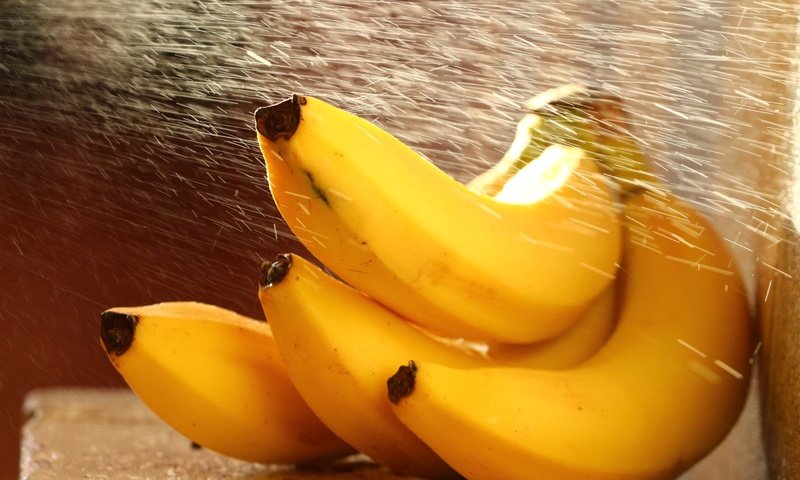 Обои вода, капли, еда, фрукты, банан, бананы, water, drops, food, fruit, banana, bananas разрешение 1920x1280 Загрузить