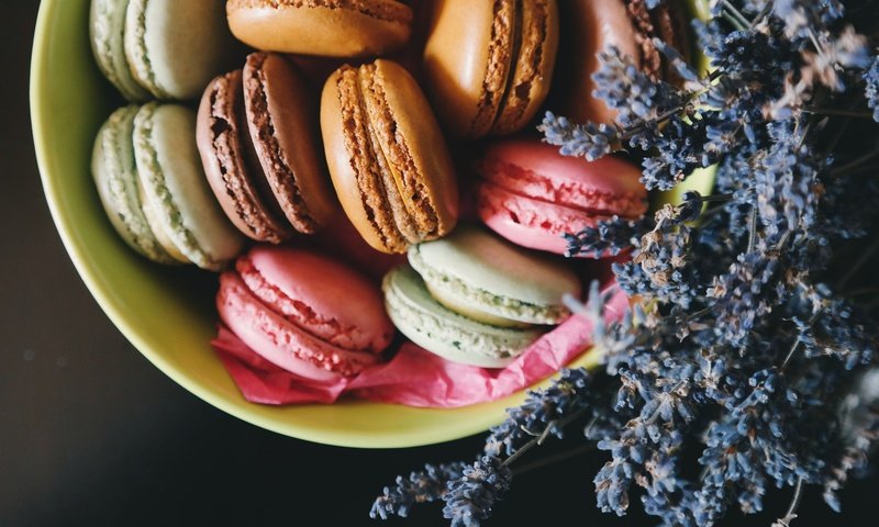 Обои цветы, лаванда, печенье, макарун, макаруны, flowers, lavender, cookies, macaron, macaroon разрешение 1920x1280 Загрузить