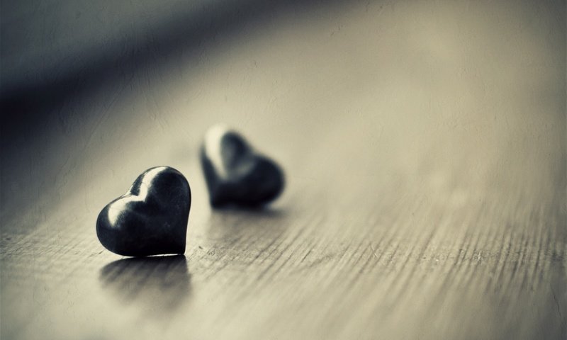 Обои настроение, макро, сердце, сердечки, чёрные, two black hearts, mood, macro, heart, hearts, black разрешение 2560x1600 Загрузить