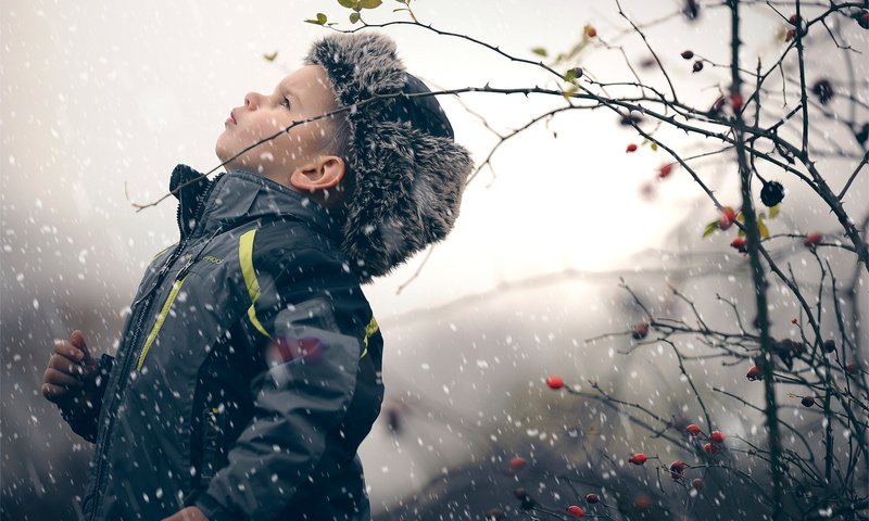 Обои снег, зима, ветки, шиповник, ягоды, ребенок, мальчик, snow, winter, branches, briar, berries, child, boy разрешение 1920x1277 Загрузить