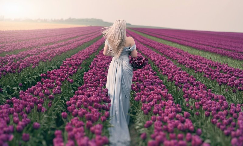 Обои цветы, спина, девушка, тюльпаны, платье, блондинка, поле, брюнетка, париж, весна, flowers, back, girl, tulips, dress, blonde, field, brunette, paris, spring разрешение 2048x1122 Загрузить
