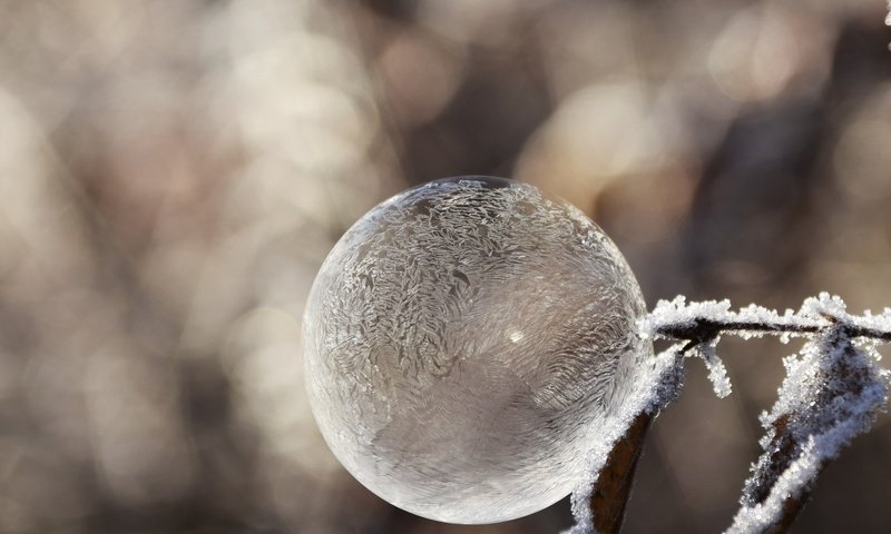 Обои зима, настроение, мороз, иней, пузырь, мыльный пузырь, winter, mood, frost, bubble разрешение 1920x1312 Загрузить