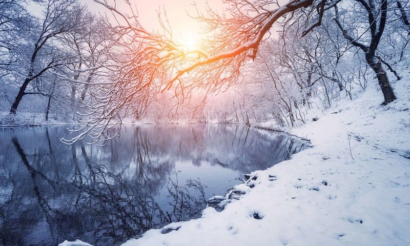 Обои деревья, река, снег, закат, зима, отражение, ветки, trees, river, snow, sunset, winter, reflection, branches разрешение 1920x1200 Загрузить