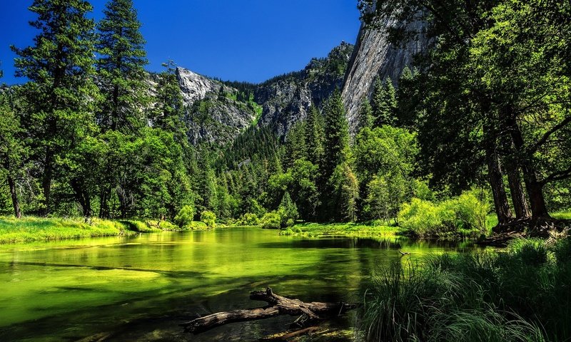 Обои деревья, ка­ли­фор­нийс­кая, река, река мерсед, горы, merced river, йосемитский национальный парк., сша, калифорния, йосемити, йосемитский национальный парк, сьерра-невада, trees, california, river, the merced river, mountains, usa, ca, yosemite, yosemite national park, sierra nevada разрешение 2048x1365 Загрузить