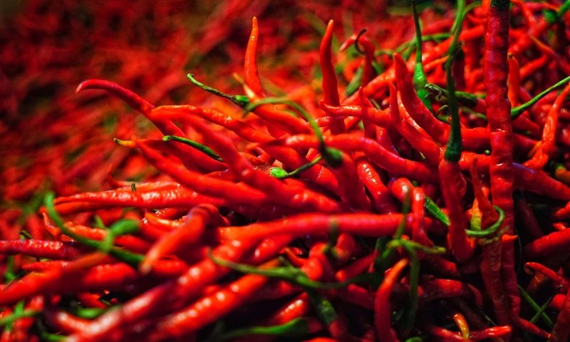 Обои макро, много, чили, перец, перчик, стручки, жгучий перец, macro, a lot, chile, pepper, pods, hot pepper разрешение 2048x1368 Загрузить