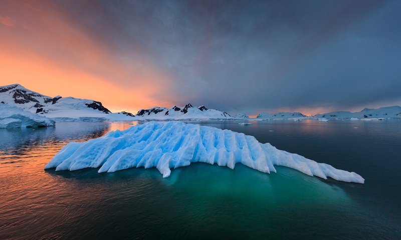 Обои пейзаж, море, льды, арктика, antarctic, antartida, raimondo restelli, landscape, sea, ice, arctic разрешение 1920x1200 Загрузить