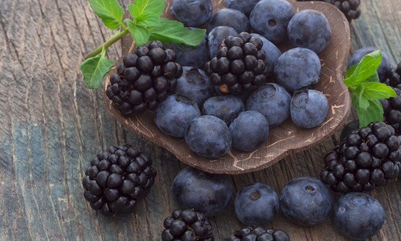 Обои мята, ягоды, черника, тарелка, ежевика, mint, berries, blueberries, plate, blackberry разрешение 4608x3456 Загрузить