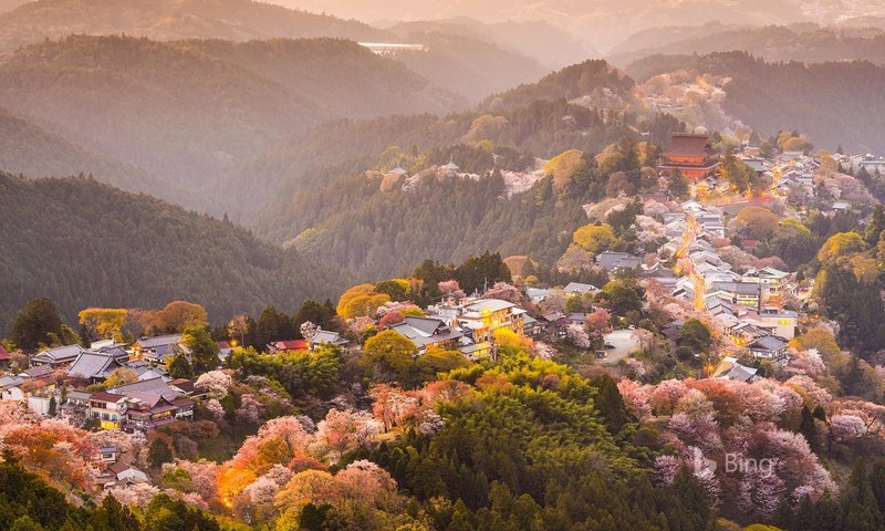 Обои деревья, горы, цветение, город, япония, весна, сакура, yoshino, trees, mountains, flowering, the city, japan, spring, sakura разрешение 1920x1200 Загрузить