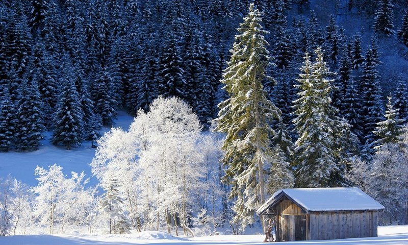 Обои деревья, снег, природа, лес, зима, домик, германия, бавария, trees, snow, nature, forest, winter, house, germany, bayern разрешение 2048x1369 Загрузить