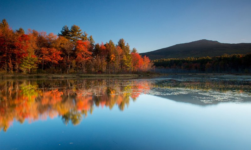 Обои небо, деревья, озеро, горы, природа, отражение, осень, the sky, trees, lake, mountains, nature, reflection, autumn разрешение 1920x1200 Загрузить