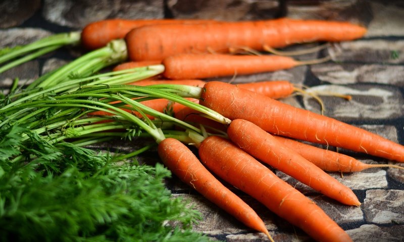 Обои урожай, овощи, морковь, harvest, vegetables, carrots разрешение 5561x2821 Загрузить