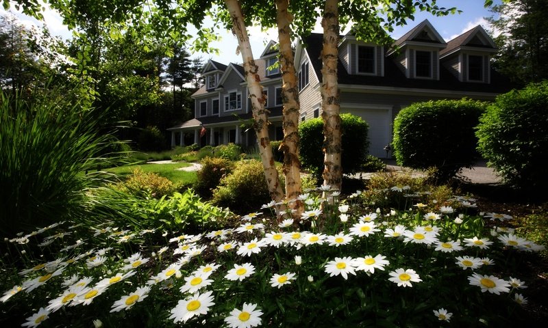 Обои цветы, трава, деревья, сад, дом, ромашки, лужайка, коттедж, flowers, grass, trees, garden, house, chamomile, lawn, cottage разрешение 4000x2776 Загрузить