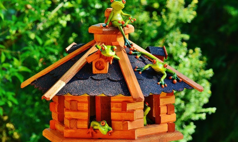 Обои зелень, дом, домик, крыша, лягушки, сувенир, greens, house, roof, frogs, souvenir разрешение 5990x3960 Загрузить