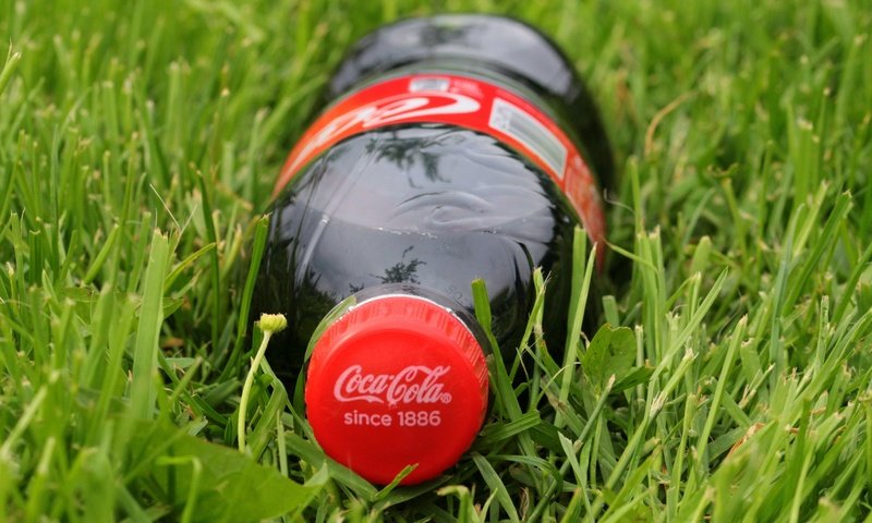 Обои трава, напиток, бутылка, лужайка, газон, кока-кола, кола, grass, drink, bottle, lawn, coca-cola, cola разрешение 5184x3456 Загрузить