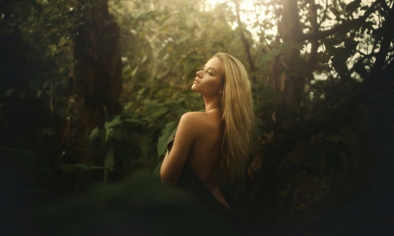 Обои лес, блондинка, взгляд, спина, tj drysdale, forest, blonde, look, back разрешение 2048x1365 Загрузить