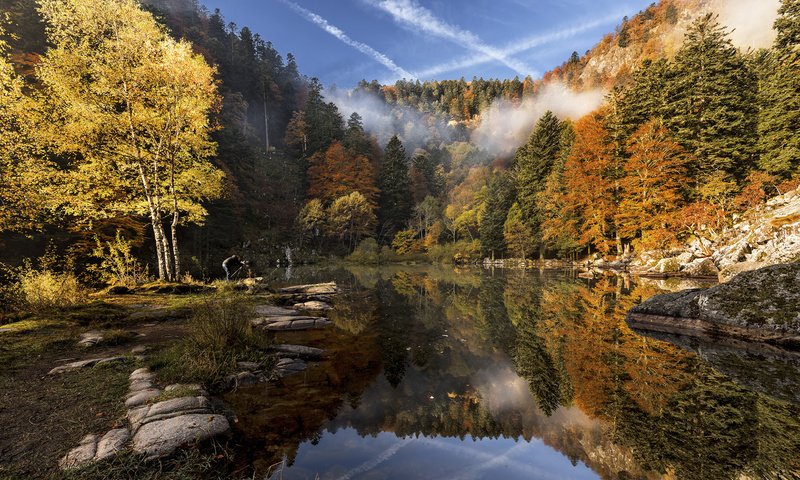 Обои река, природа, лес, осень, etienne ruff, river, nature, forest, autumn разрешение 1920x1200 Загрузить