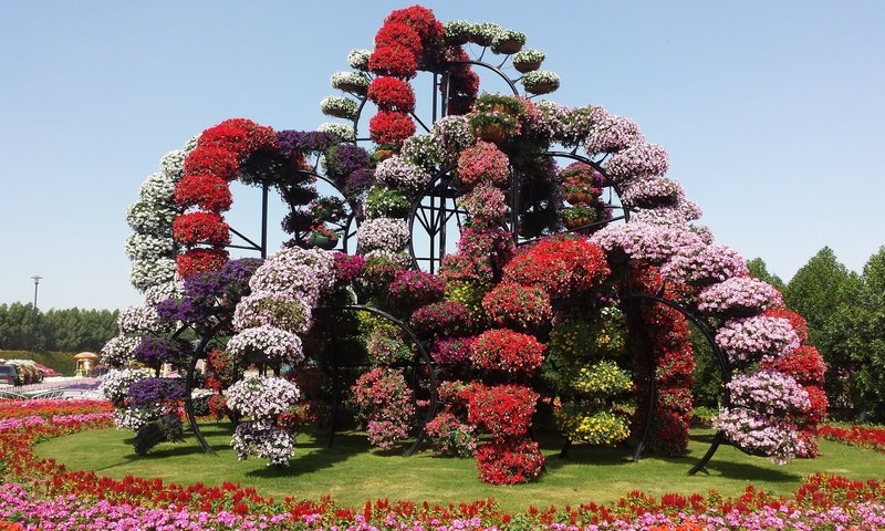 Обои цветы, дизайн, парк, дубаи, оаэ, miracle garden, flowers, design, park, dubai, uae разрешение 2600x1500 Загрузить