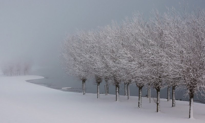 Обои деревья, озеро, снег, зима, иней, лёд, trees, lake, snow, winter, frost, ice разрешение 1920x1080 Загрузить