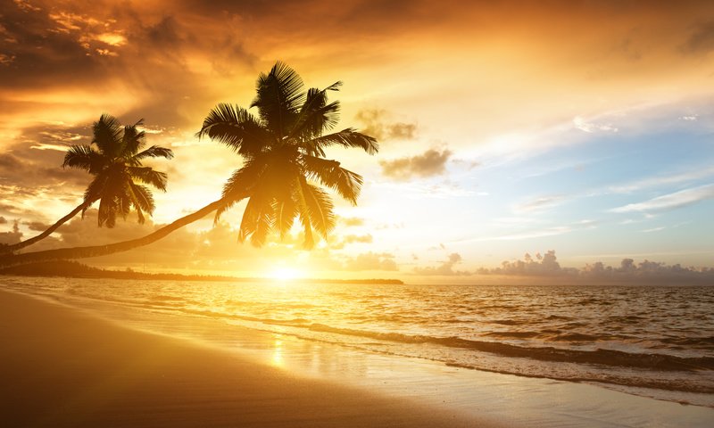Обои облака, закат, море, пляж, пальмы, океан, солнечный свет, clouds, sunset, sea, beach, palm trees, the ocean, sunlight разрешение 5224x3604 Загрузить