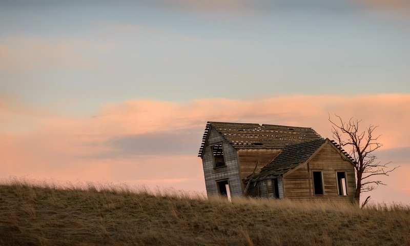 Обои небо, вечер, дерево, поле, дом, the sky, the evening, tree, field, house разрешение 2048x1100 Загрузить