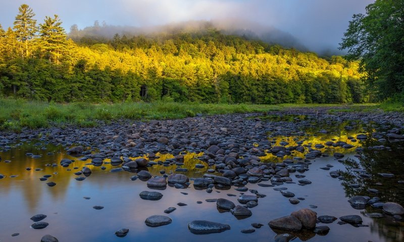 Обои деревья, река, природа, камни, лес, утро, туман, trees, river, nature, stones, forest, morning, fog разрешение 2560x1707 Загрузить