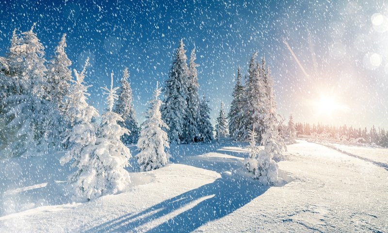 Обои небо, деревья, снег, природа, зима, пейзаж, снегопад, the sky, trees, snow, nature, winter, landscape, snowfall разрешение 2880x1800 Загрузить