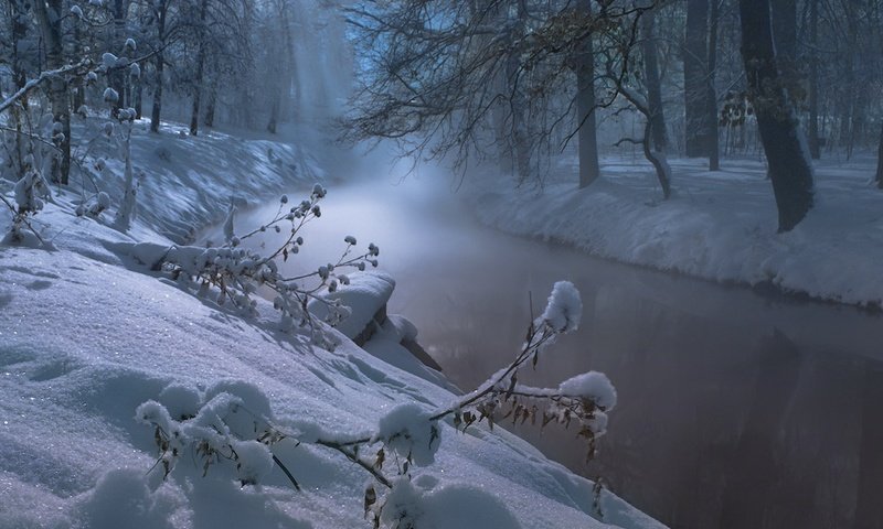 Обои деревья, река, снег, природа, лес, зима, trees, river, snow, nature, forest, winter разрешение 1920x1200 Загрузить