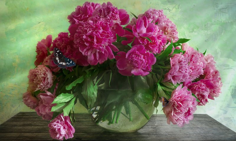 Обои цветы, бабочка, ваза, аквариум, столик, пионы, flowers, butterfly, vase, aquarium, table, peonies разрешение 1920x1281 Загрузить