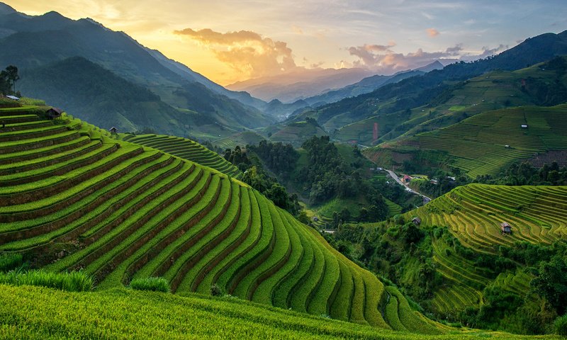 Обои холмы, природа, закат, пейзаж, плантации, вьетнам, chanwity, му кан чай, hills, nature, sunset, landscape, plantation, vietnam, mu cang tea разрешение 1920x1200 Загрузить