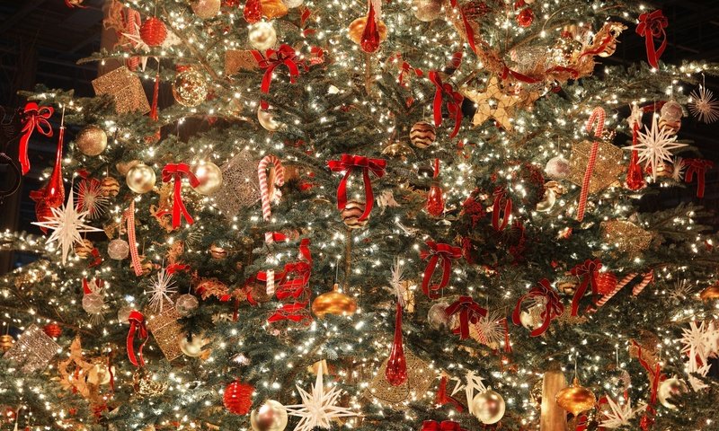 Обои новый год, елка, украшения, рождество, елочные игрушки, рождественские огни, new year, tree, decoration, christmas, christmas decorations разрешение 1920x1200 Загрузить