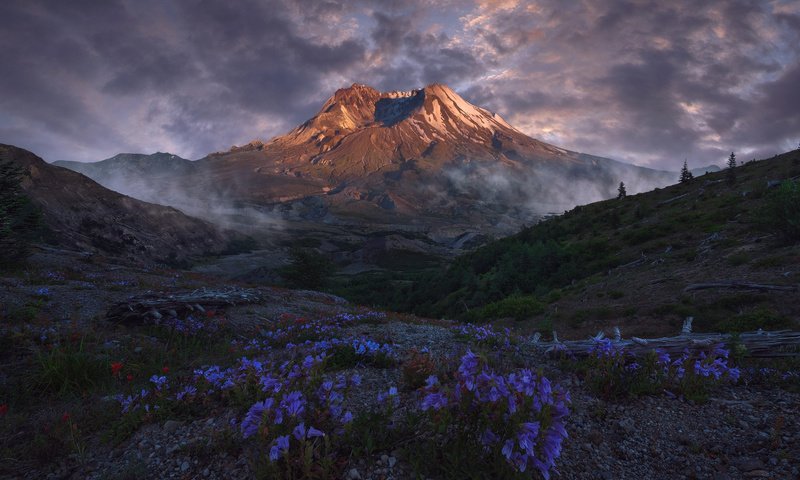 Обои небо, цветы, облака, горы, природа, пейзаж, вулкан, victor carreiro, the sky, flowers, clouds, mountains, nature, landscape, the volcano разрешение 2000x1416 Загрузить