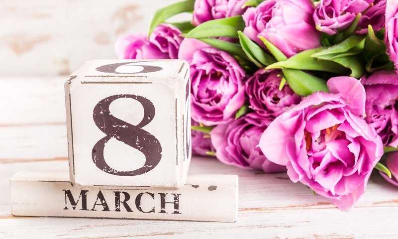 Обои тюльпаны, розовые, 8 марта, tulips, pink, march 8 разрешение 5798x3870 Загрузить