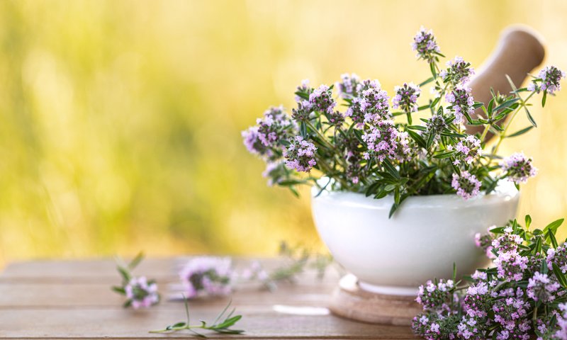 Обои природа, стол, букет, чабрец, тимьян, nature, table, bouquet, thyme разрешение 6580x4387 Загрузить