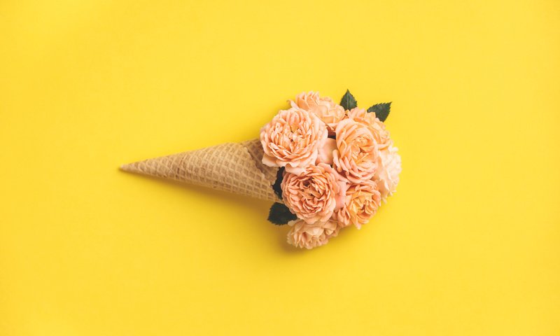 Обои фон, розы, желтые, вафельный рожок, background, roses, yellow, waffle cone разрешение 8000x5333 Загрузить