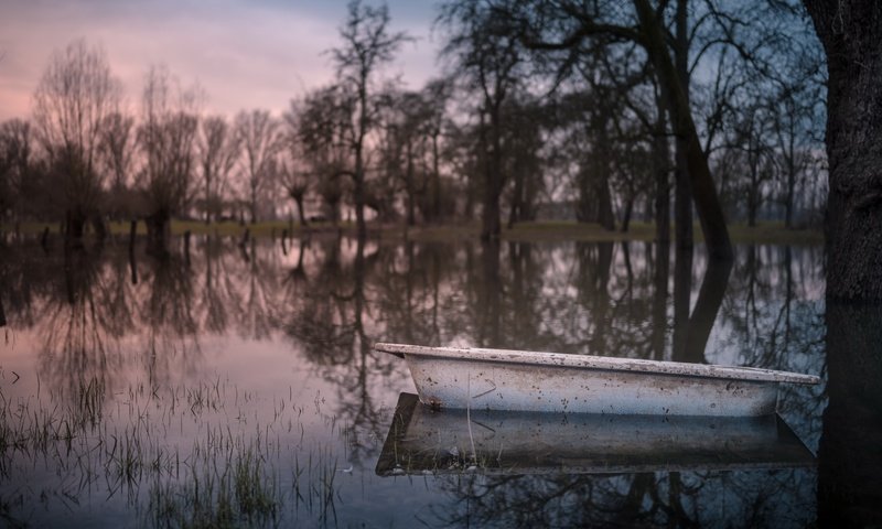 Обои природа, лужа, ванна, nature, puddle, bath разрешение 6819x4551 Загрузить