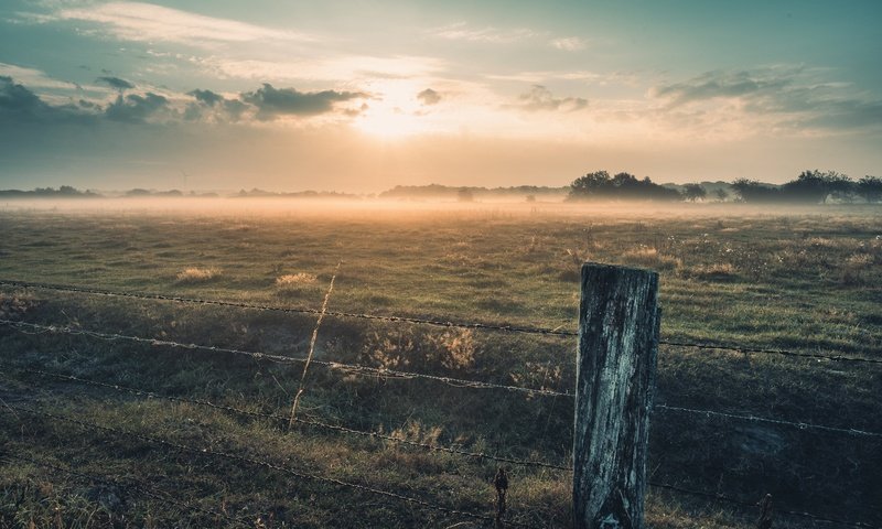 Обои утро, туман, забор, morning, fog, the fence разрешение 2048x1152 Загрузить